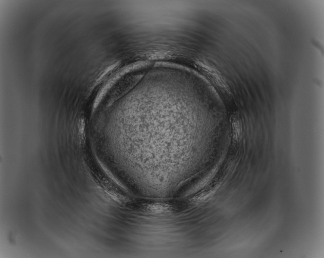 X0000094780308200712141626