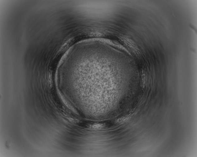 X0000094780312200712141626