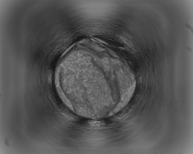 X0000094780315200712141626