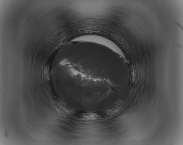 X0000094780316200712141626