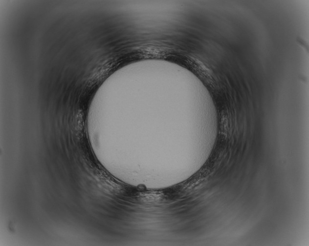 X0000094780318200712141626