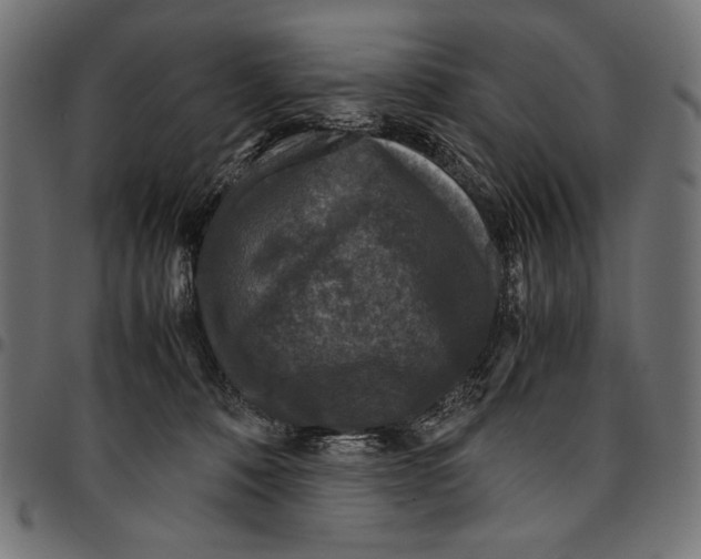 X0000094780320200712141626