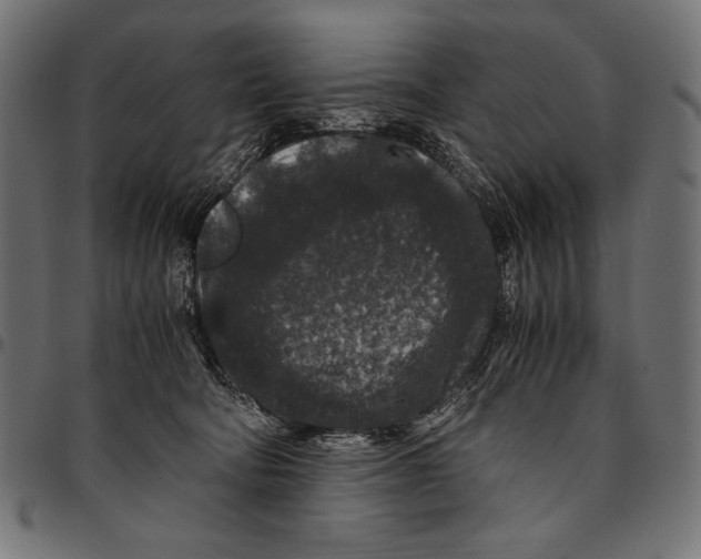 X0000094780322200712141626