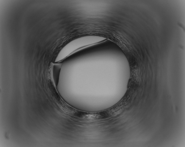 X0000094780323200712141626