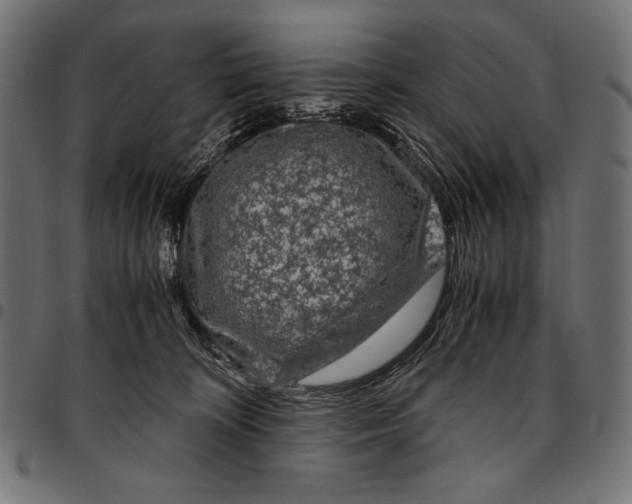 X0000094780324200712141626