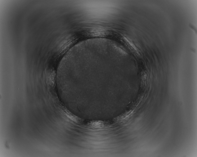 X0000094780325200712141626