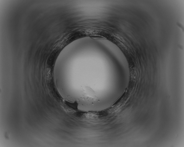 X0000094780327200712141626