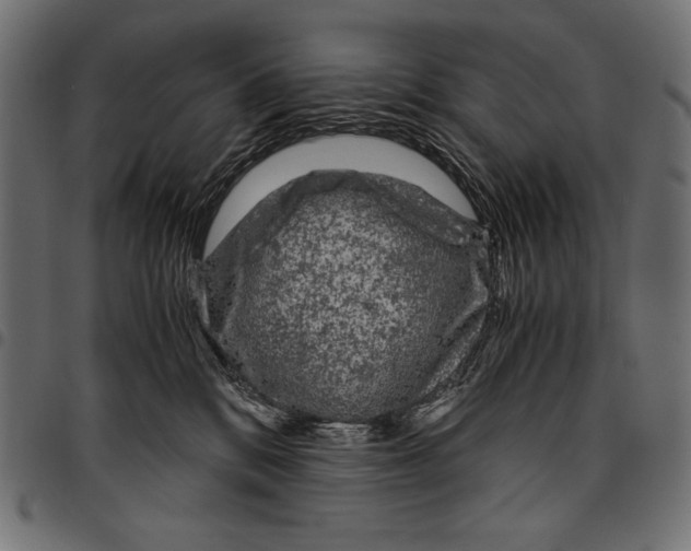 X0000094780328200712141626