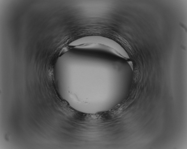 X0000094780329200712141626