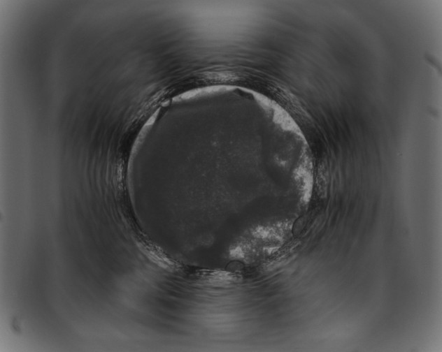 X0000094780330200712141626