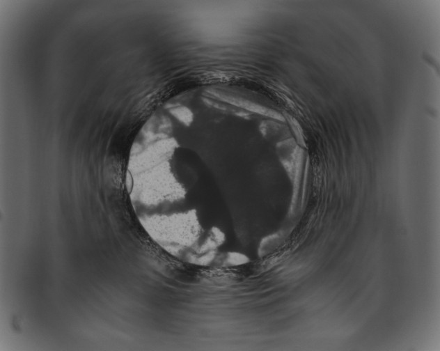 X0000094780331200712141625