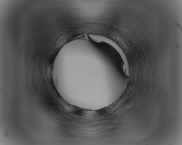 X0000094780333200712141625