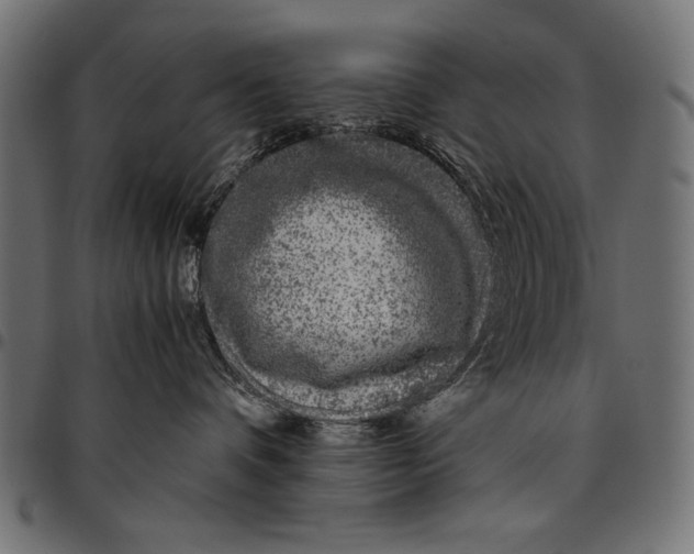 X0000094780336200712141625