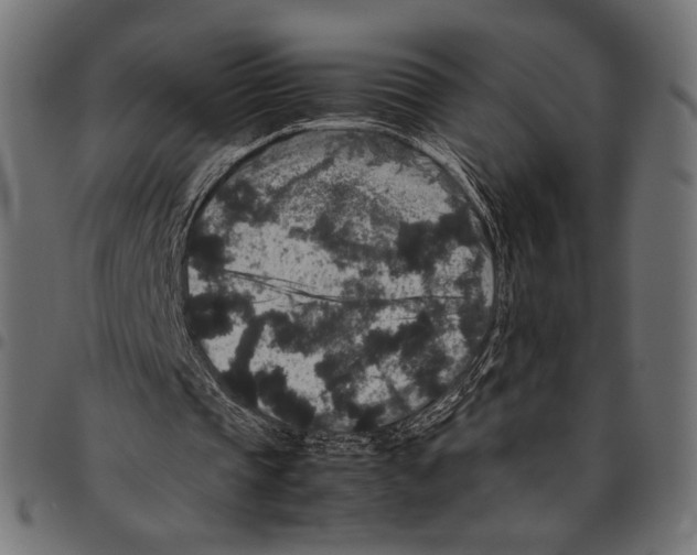 X0000094780337200712141625