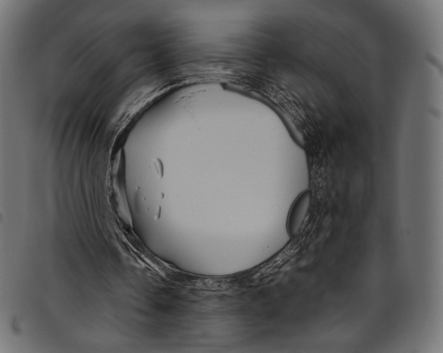 X0000094780338200712141625