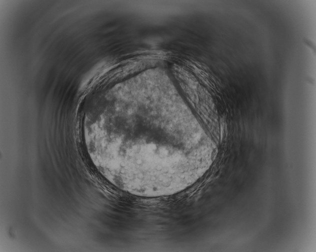 X0000094780339200712141625