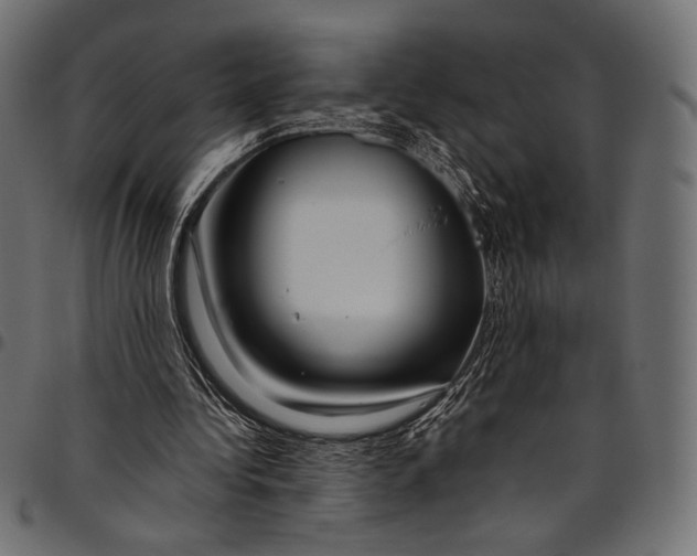 X0000094780340200712141625