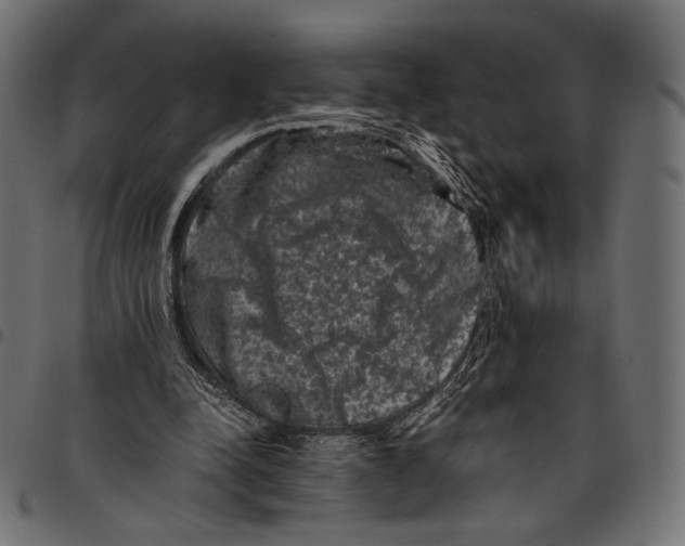 X0000094780342200712141625