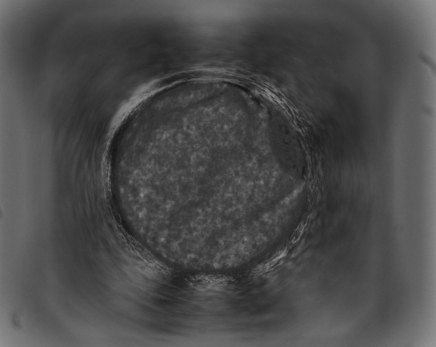 X0000094780343200712141625