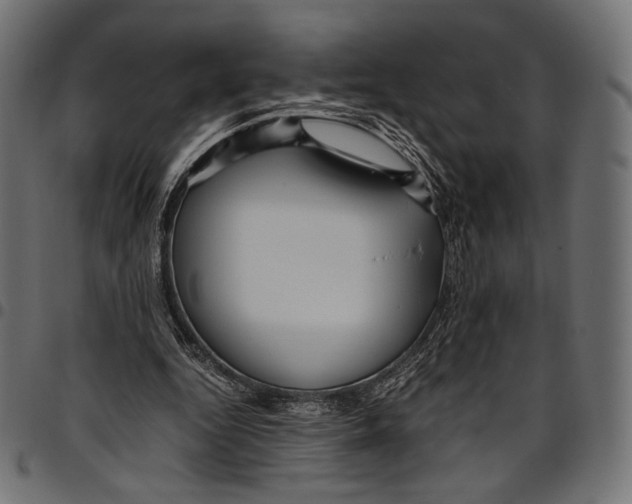 X0000094780344200712141625