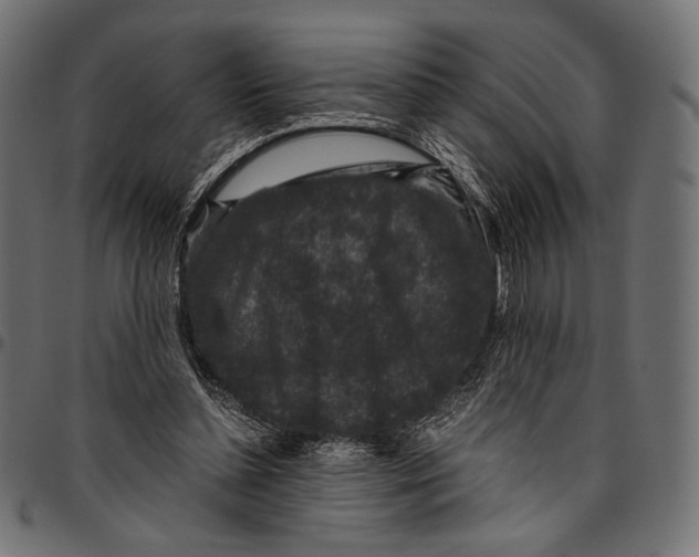 X0000094780348200712141625