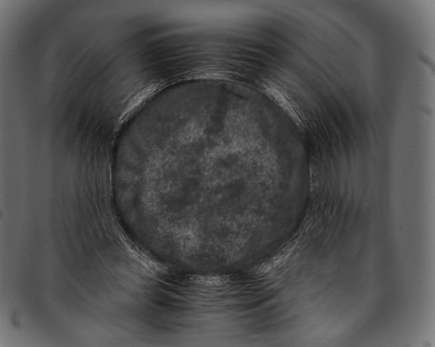 X0000094780349200712141625