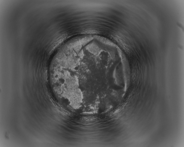 X0000094780351200712141625