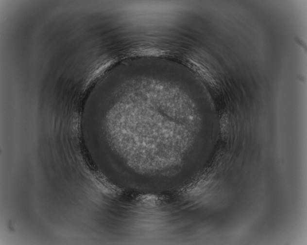 X0000094780352200712141625