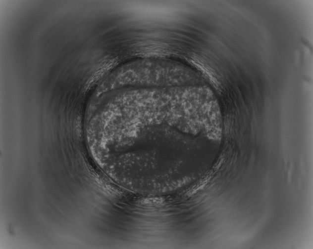 X0000094780353200712141625