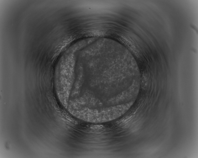 X0000094780355200712141625