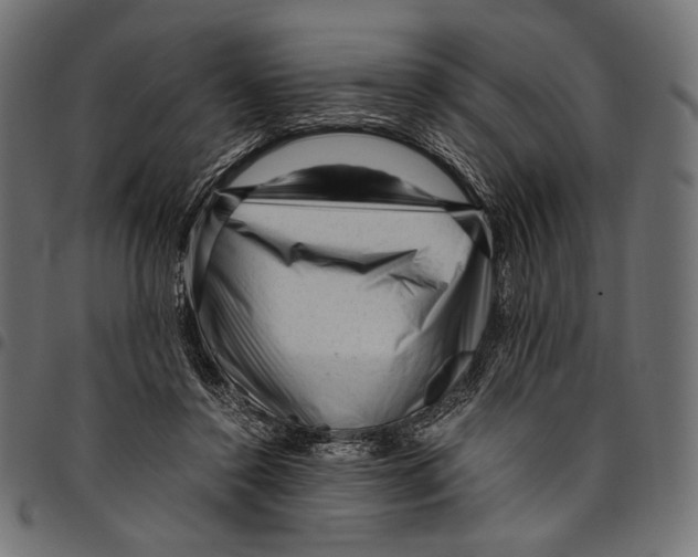 X0000094780356200712141625