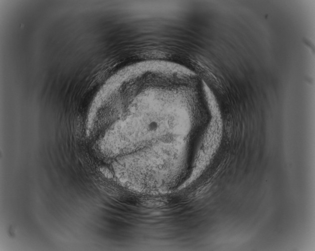 X0000094780359200712141625