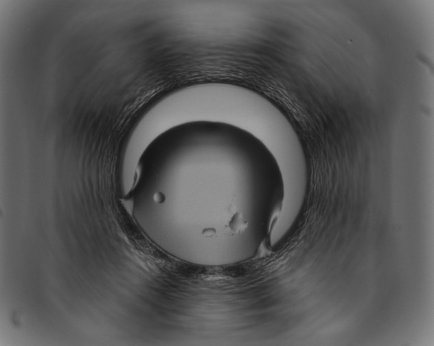 X0000094780360200712141625