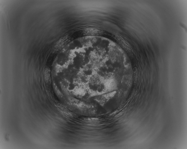 X0000094780361200712141625