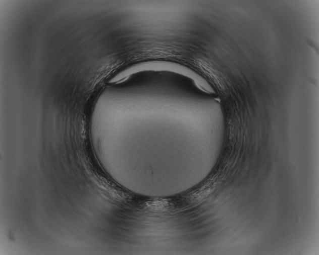 X0000094780362200712141625