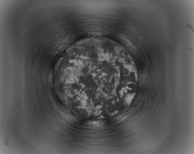 X0000094780365200712141625