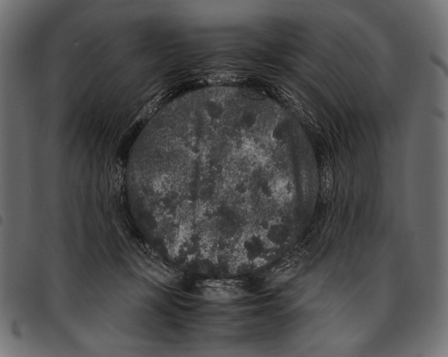 X0000094780367200712141625