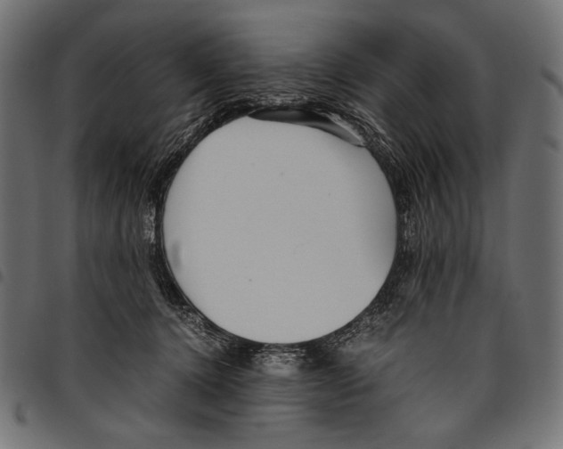 X0000094780368200712141625