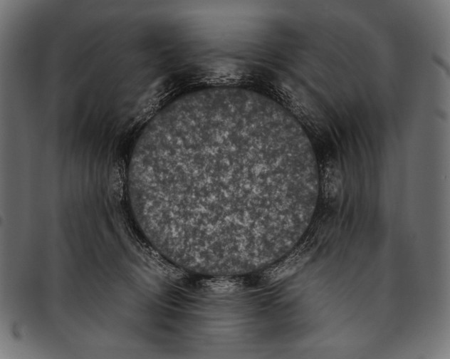 X0000094780370200712141625