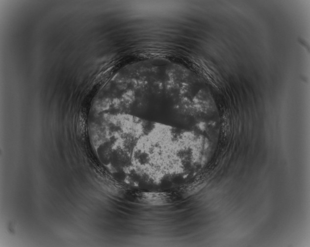 X0000094780371200712141625