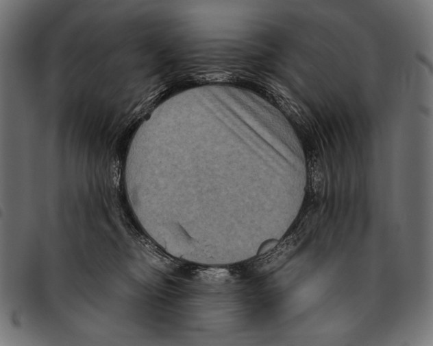 X0000094780374200712141625