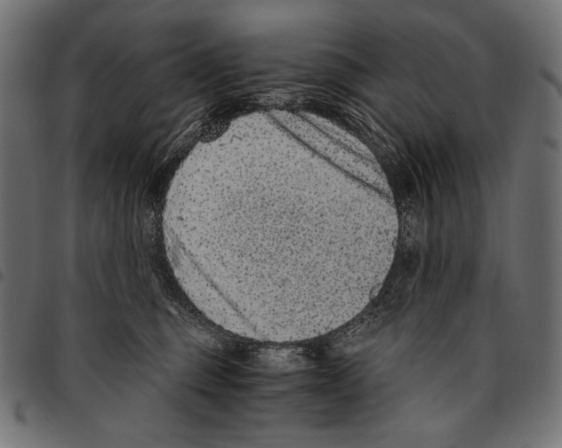 X0000094780375200712141625