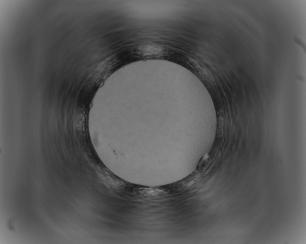 X0000094780379200712141625