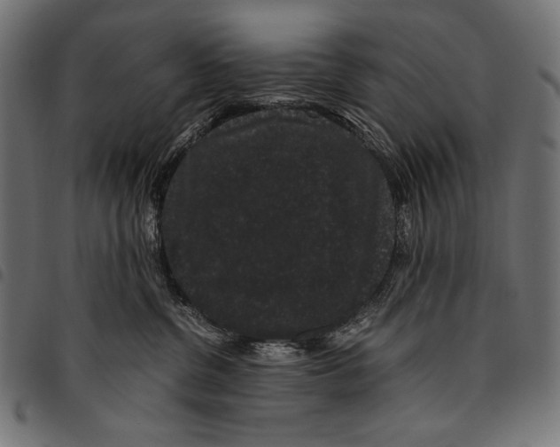 X0000094780380200712141625