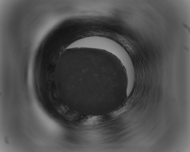 X0000094780382200712141625