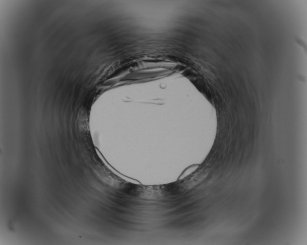 X0000094780384200712141625