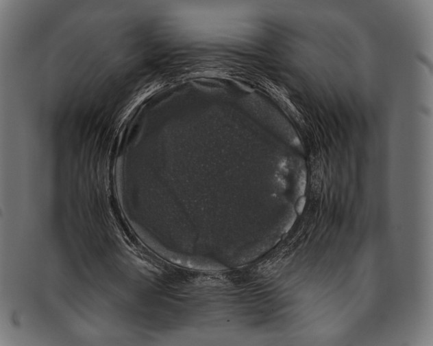 X0000094780386200712141625