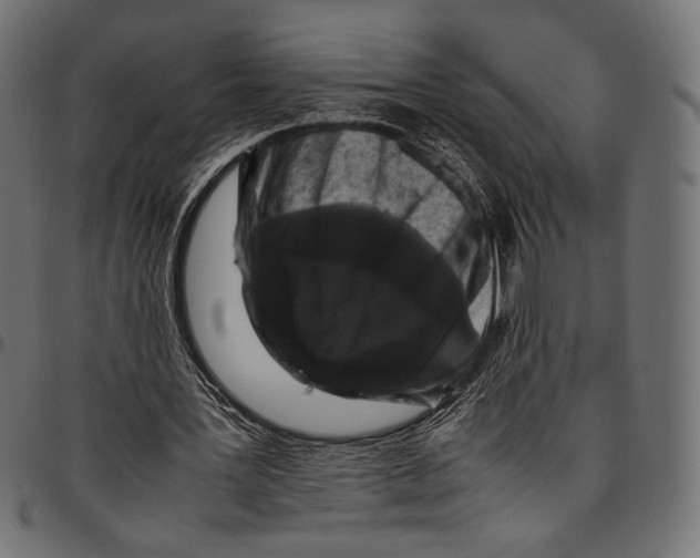 X0000094780387200712141625