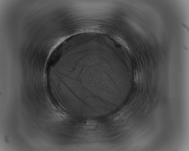 X0000094780388200712141625