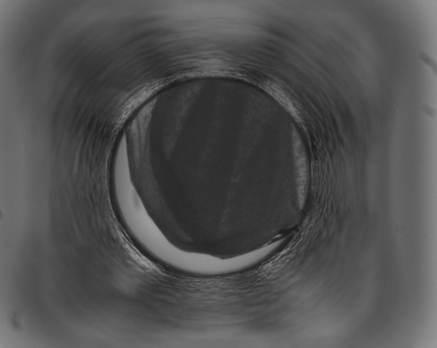 X0000094780389200712141625